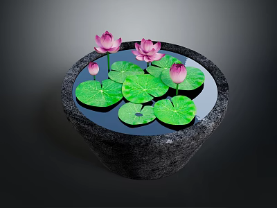 Beautiful Water Lilies And Green Lily Pads In Stone Basin With Calm Water 3d model