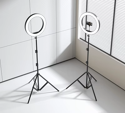 Modern fill light 3d model