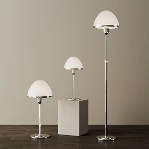 Modern Lamp Combination Middle Bauhaus Table Lamp Floor Lamp Combination 3d model