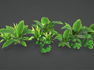 Various Green Leafy Indoor Plants with Different Foliage Shapes and Sizes for Home Decor 3d model