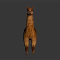 Orange Llama Standing On Gray Background With Realistic Fur And Reflection 3d model