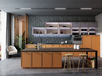 Modern Kitchen model