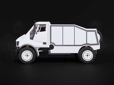 Rally Truck 3d model