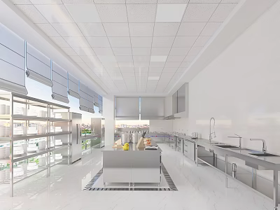 Spacious White Tone Commercial Kitchen With Open Layout Stainless Steel Worktables Sinks And Cabinets 3d model