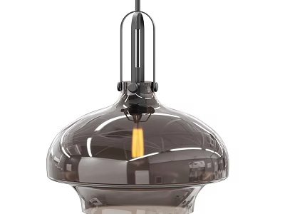 Modern Smoked Glass Pendant Light with Metal Frame Transparent Shade and Warm Illuminated Bulb 3d model
