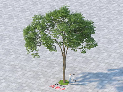 Tall Arbor With Green Leaves Standing On Paved Square Near Person And Small Table 3d model