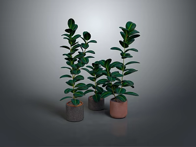 Green Potted Plants With Different Heights On Gray Background And Colored Pots 3d model