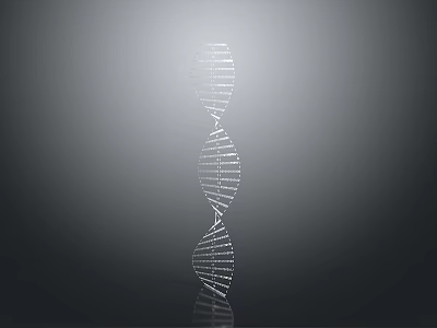 DNA Double Helix Educational Model as Home Science Decor Household Item 3d model