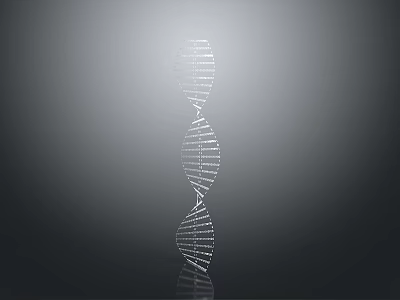 DNA Double Helix Educational Model as Home Science Decor Household Item 3d model