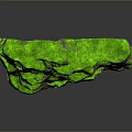 Green Moss Covered Wood Stone With Natural Surface Texture And Brown Green Colors