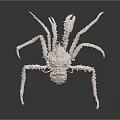 Spider Crab Aquatic Creature With Long Legs And Spiky Shell Structure 3d model