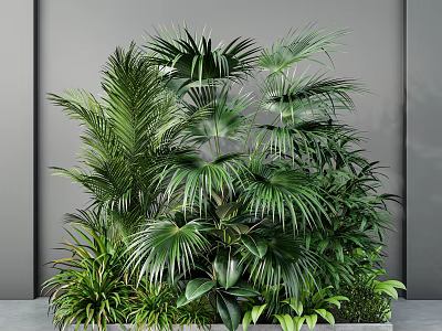 Lush Indoor Green Plants Arrangement Featuring Various Palm Fern Leaves And Grey Wall Background 3d model