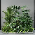 Lush Indoor Green Plants Arrangement Featuring Various Palm Fern Leaves And Grey Wall Background