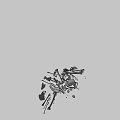 Skeleton Bone Remains 3d model