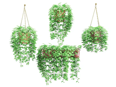 Lush Green Hanging Basket Plants With Trailing Vines And Woven Baskets 3d model