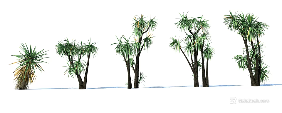 Tall Green Leafy Shrubs With Multiple Trunks For Outdoor Landscape Design 3d model