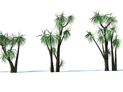 Tall Green Leafy Shrubs With Multiple Trunks For Outdoor Landscape Design 3d model