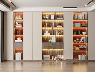 Modern bookcase 3d model