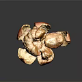Fresh Peeled Mandarin Orange with Juicy Segments and Spread Peel in Close Up View