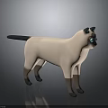 Siamese Cat 3D Character Model With Blue Eyes And Dark Colored Extremities 3d model