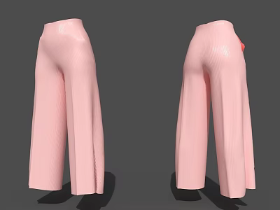 Ladies pants 3d model