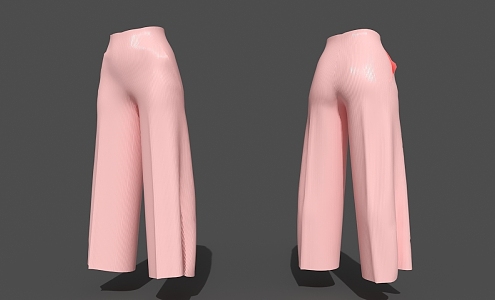 Ladies pants 3d model