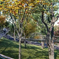 Road Facilities Surrounded by Trees and Greenery Sloped Path with Railings in Urban Park Area