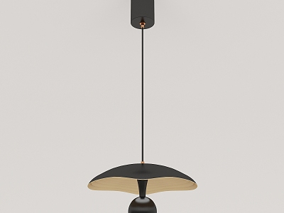 Modern minimalist chandelier 3d model