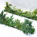 Lush Tropical Green Plants Arrangement in Two Rows Garden Landscape Design