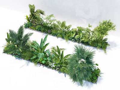 Lush Tropical Green Plants Arrangement in Two Rows Garden Landscape Design 3d model