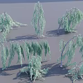 Various Weeping Shrubs With Green Foliage And Different Growth Forms