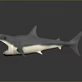 Realistic Shark Figure With Open Mouth Sharp Teeth And Gray Body 3d model