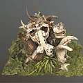 Modern Skeleton Dinosaur Skeleton 3d model