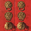 Brass Lion Head Shaped Door Knobs On Traditional Red Wooden Door