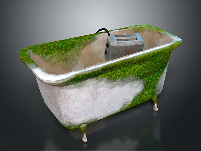 Old Moss Covered White Bathtub With Metal Legs And Soap Dish 3d model