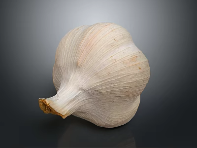 Fresh Whole Garlic Bulb With Natural Texture Isolated On Dark Background 3d model
