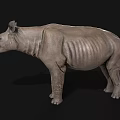 Gray Rhinoceros 3D Model With Detailed Skin Texture Isolated On Black