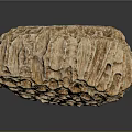 Natural Wooden Stone Block With Rough Textured Surface And Organic Patterns