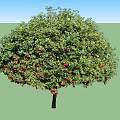 Two Lush Trees With Green Leaves And Red Fruits On Black Trunks