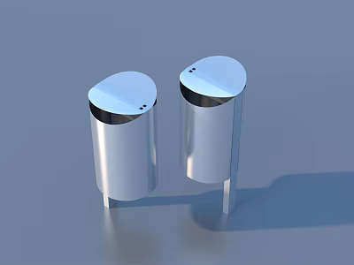 Sleek Silver Metal Salt And Pepper Shakers For Modern Kitchen Use 3d model