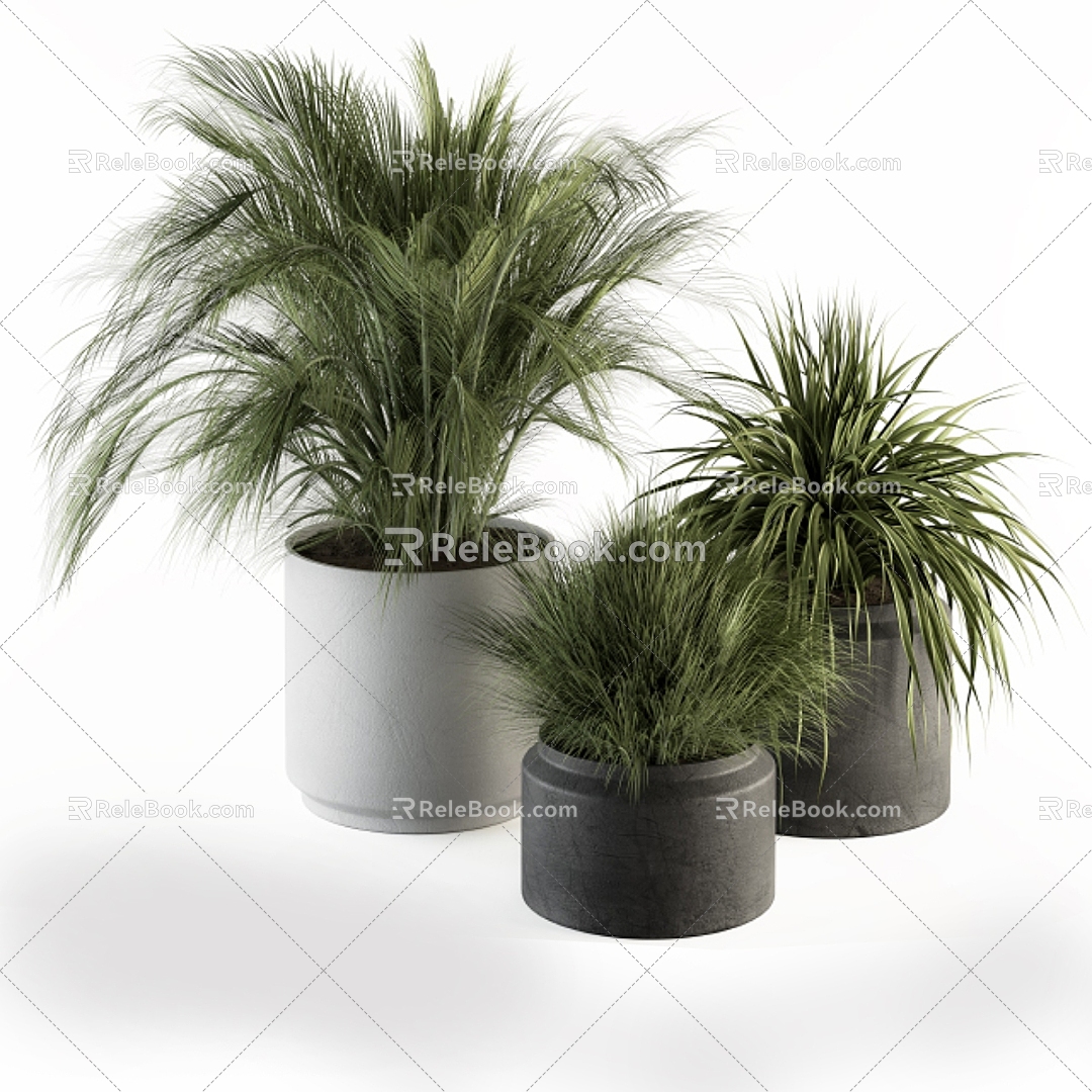 modern potted plant 3d model