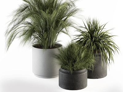 modern potted plant 3d model