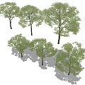 Diverse Arbor Tree Varieties With Green Foliage For Landscape Design 3d model