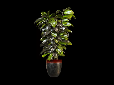 modern potted plant 3d model