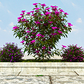 Modern Plant Landscape Flowering Plants 3d model