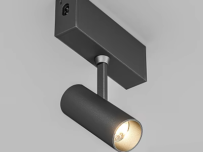 Black Modern Ceiling Mounted Downlight Spotlight With Cylindrical Head And Warm Light 3d model