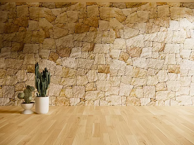 Wooden Floor With Potted Cactus Plants Against Stone Wall Background 3d model