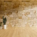 Wooden Floor With Potted Cactus Plants Against Stone Wall Background