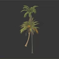Two Palm Trees One Tall and One Short with Green Leaves Against White Background