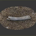Natural Wooden Log Resting on Pebble Covered Oval Decorative Surface